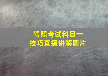 驾照考试科目一技巧直播讲解图片