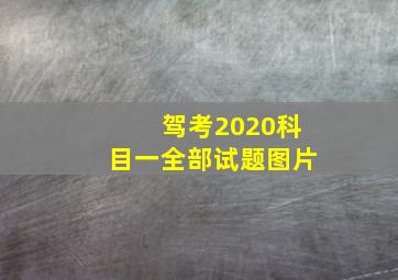 驾考2020科目一全部试题图片