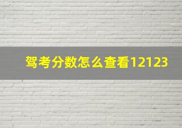 驾考分数怎么查看12123