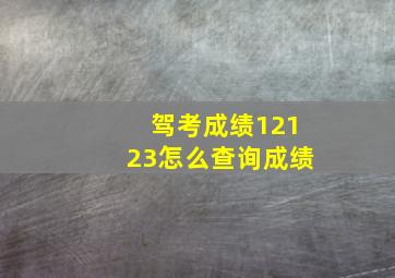 驾考成绩12123怎么查询成绩