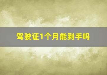 驾驶证1个月能到手吗