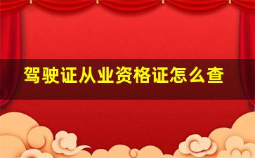 驾驶证从业资格证怎么查