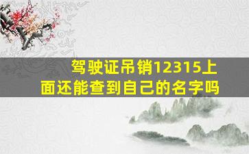 驾驶证吊销12315上面还能查到自己的名字吗