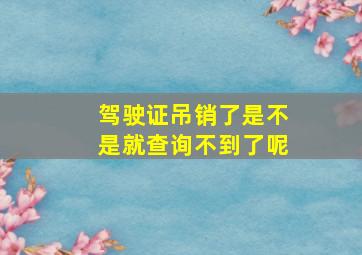 驾驶证吊销了是不是就查询不到了呢