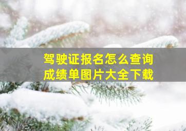 驾驶证报名怎么查询成绩单图片大全下载