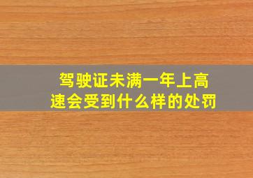 驾驶证未满一年上高速会受到什么样的处罚