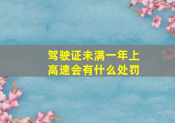 驾驶证未满一年上高速会有什么处罚