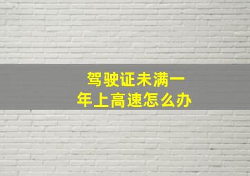 驾驶证未满一年上高速怎么办