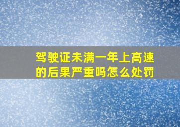 驾驶证未满一年上高速的后果严重吗怎么处罚