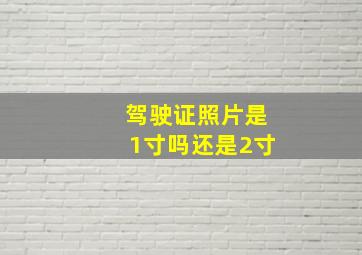 驾驶证照片是1寸吗还是2寸