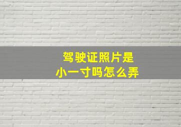 驾驶证照片是小一寸吗怎么弄