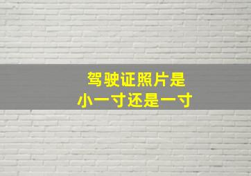 驾驶证照片是小一寸还是一寸