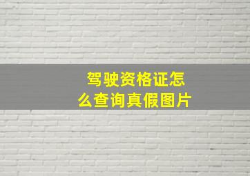 驾驶资格证怎么查询真假图片