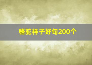 骆驼祥子好句200个