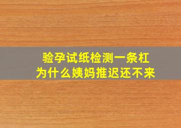 验孕试纸检测一条杠为什么姨妈推迟还不来