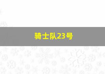 骑士队23号