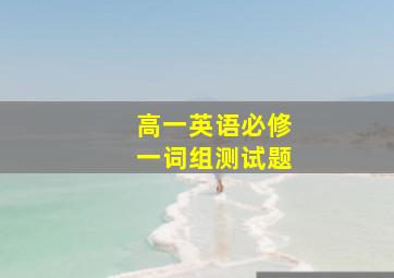 高一英语必修一词组测试题