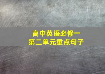 高中英语必修一第二单元重点句子