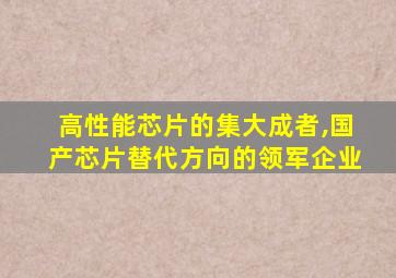 高性能芯片的集大成者,国产芯片替代方向的领军企业