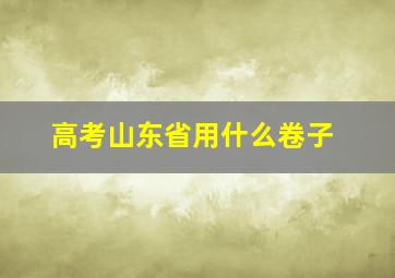 高考山东省用什么卷子