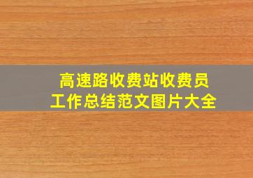 高速路收费站收费员工作总结范文图片大全