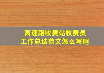 高速路收费站收费员工作总结范文怎么写啊