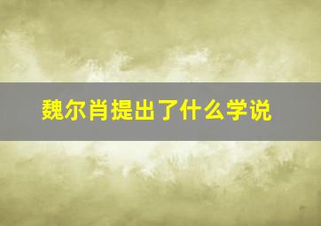 魏尔肖提出了什么学说