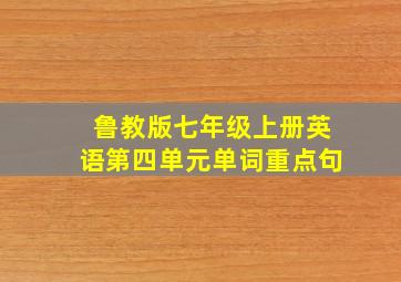 鲁教版七年级上册英语第四单元单词重点句