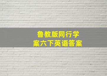 鲁教版同行学案六下英语答案