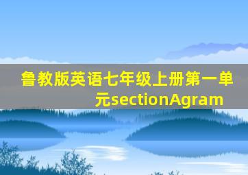 鲁教版英语七年级上册第一单元sectionAgram