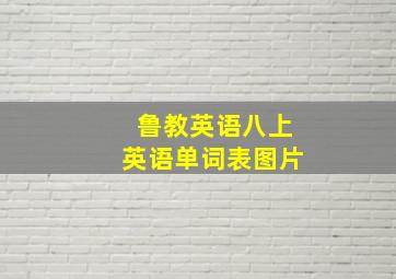 鲁教英语八上英语单词表图片