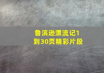 鲁滨逊漂流记1到30页精彩片段