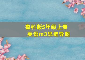 鲁科版5年级上册英语m3思维导图