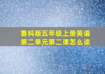 鲁科版五年级上册英语第二单元第二课怎么读