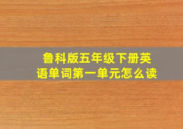 鲁科版五年级下册英语单词第一单元怎么读