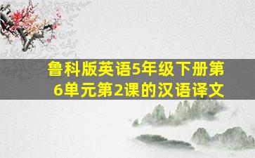 鲁科版英语5年级下册第6单元第2课的汉语译文