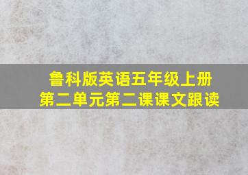 鲁科版英语五年级上册第二单元第二课课文跟读