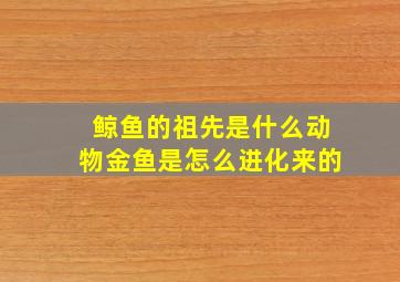 鲸鱼的祖先是什么动物金鱼是怎么进化来的