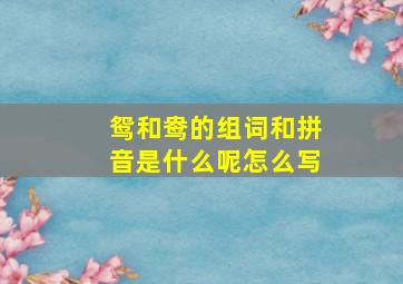 鸳和鸯的组词和拼音是什么呢怎么写