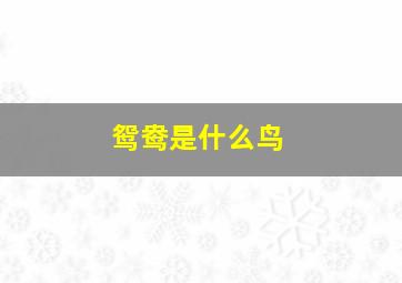 鸳鸯是什么鸟