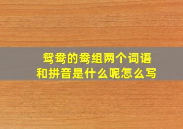 鸳鸯的鸯组两个词语和拼音是什么呢怎么写