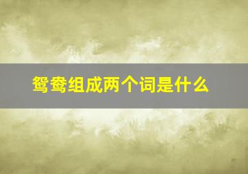 鸳鸯组成两个词是什么