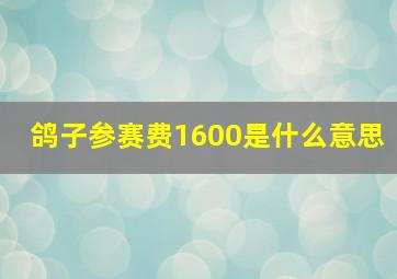 鸽子参赛费1600是什么意思