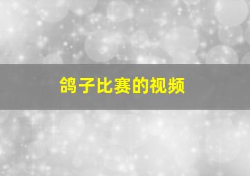 鸽子比赛的视频