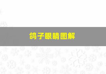 鸽子眼睛图解