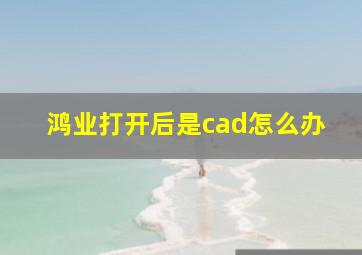 鸿业打开后是cad怎么办