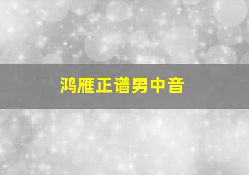 鸿雁正谱男中音