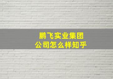 鹏飞实业集团公司怎么样知乎