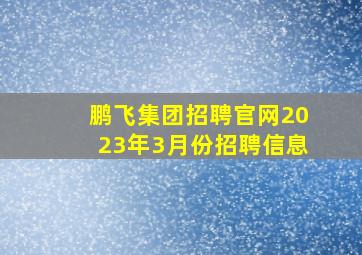 鹏飞集团招聘官网2023年3月份招聘信息