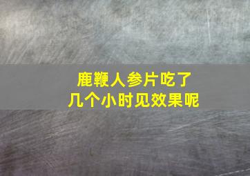 鹿鞭人参片吃了几个小时见效果呢